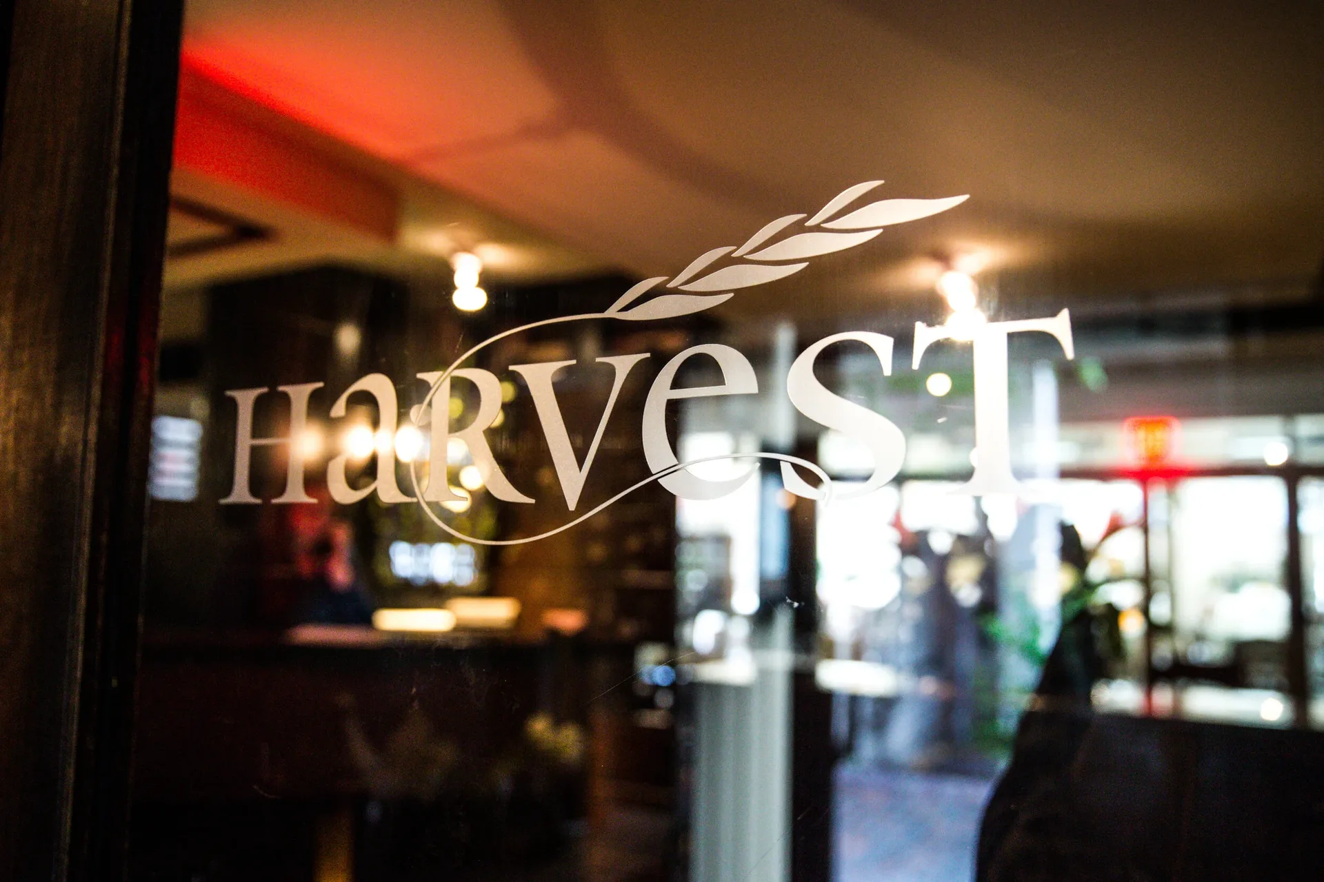 Harvest — photo 23