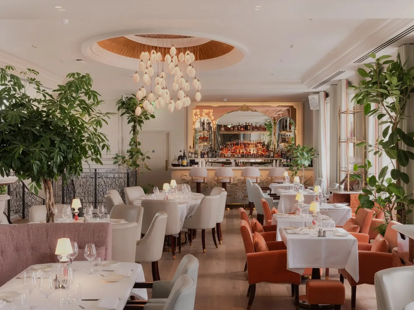 Amelie Restaurant — photo 22