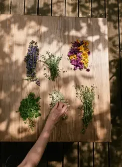 Hiša Franko — kitchen