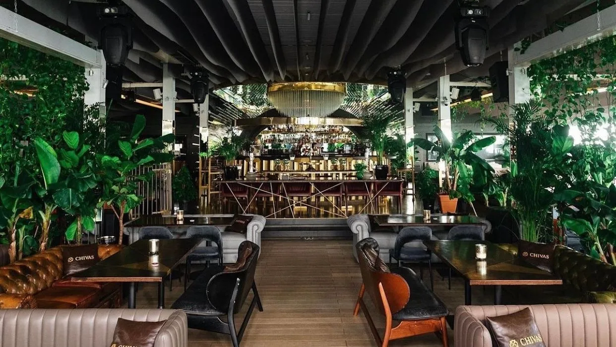Reef — photo 35