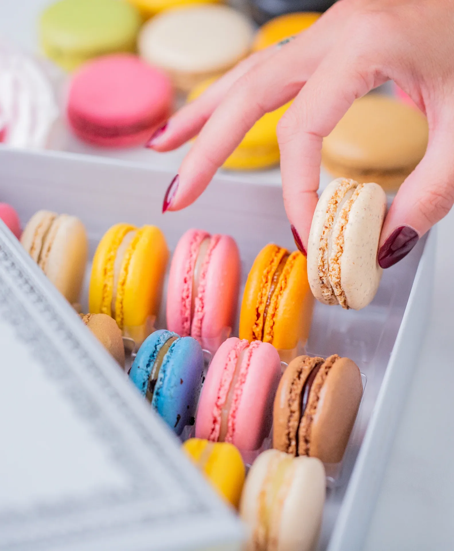 Ladurée — photo 51