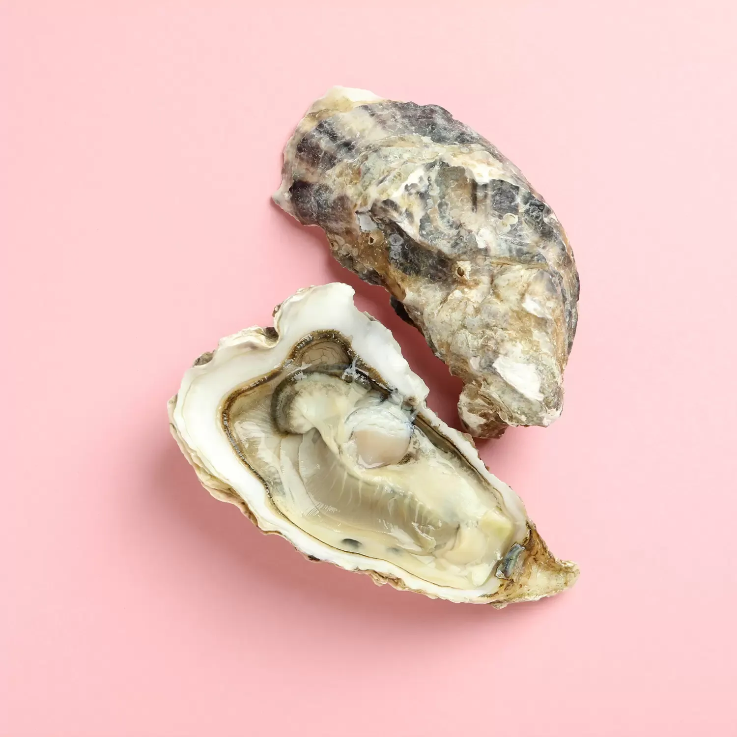 La Cebolla — food