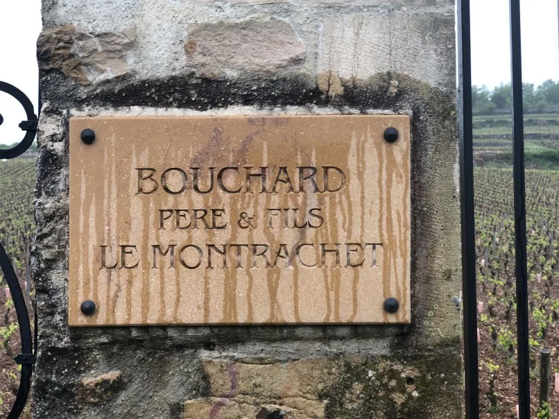 La Bécasse — photo 269