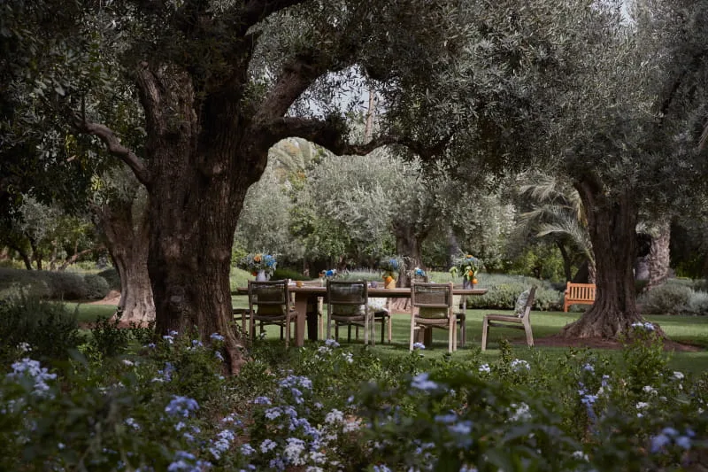 Le jardin du Royal Mansour — photo 7