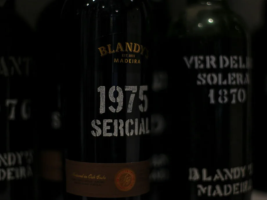 Adega — photo 21