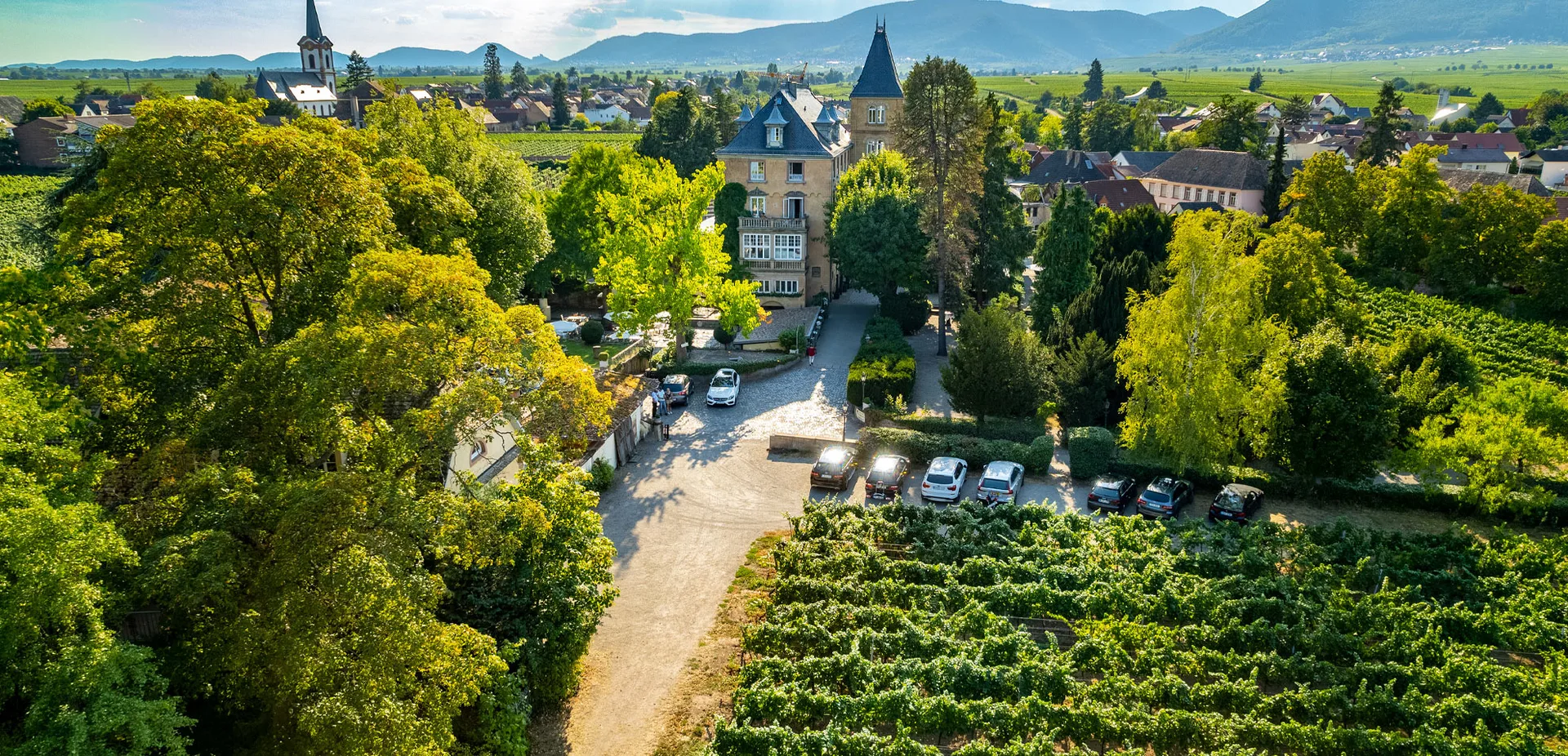 Schloss Edesheim - Gourmet-Restaurant — photo 90