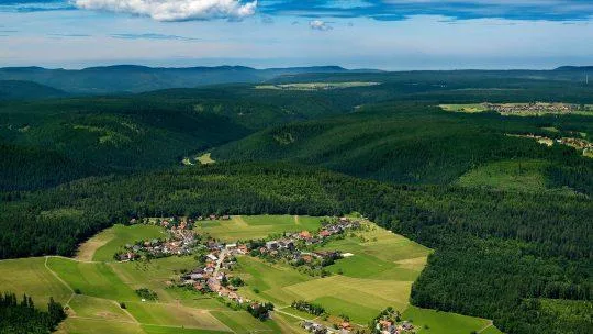 Schwanen Kälberbronn — photo 6