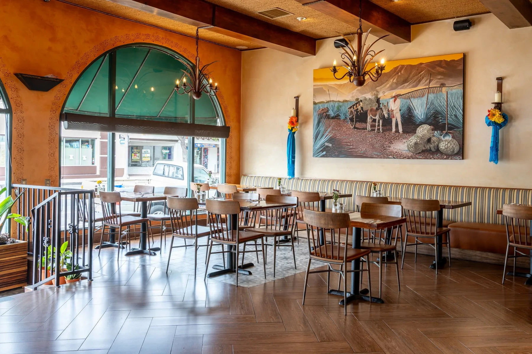 Los Agaves — photo 13