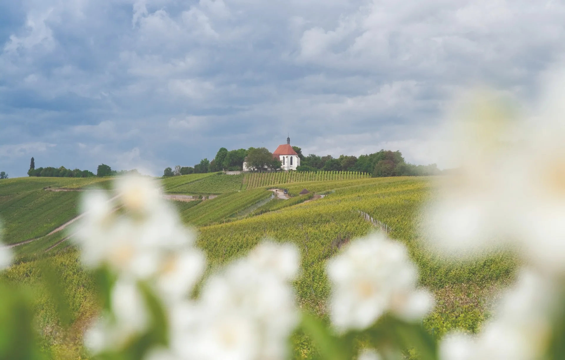 Weingasthof Rose — photo 4