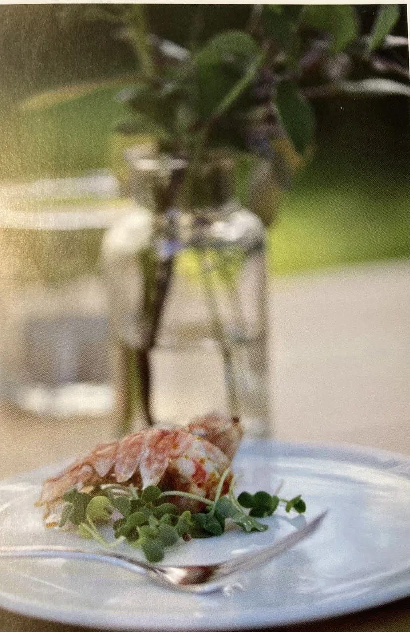 Cyrk — photo 6