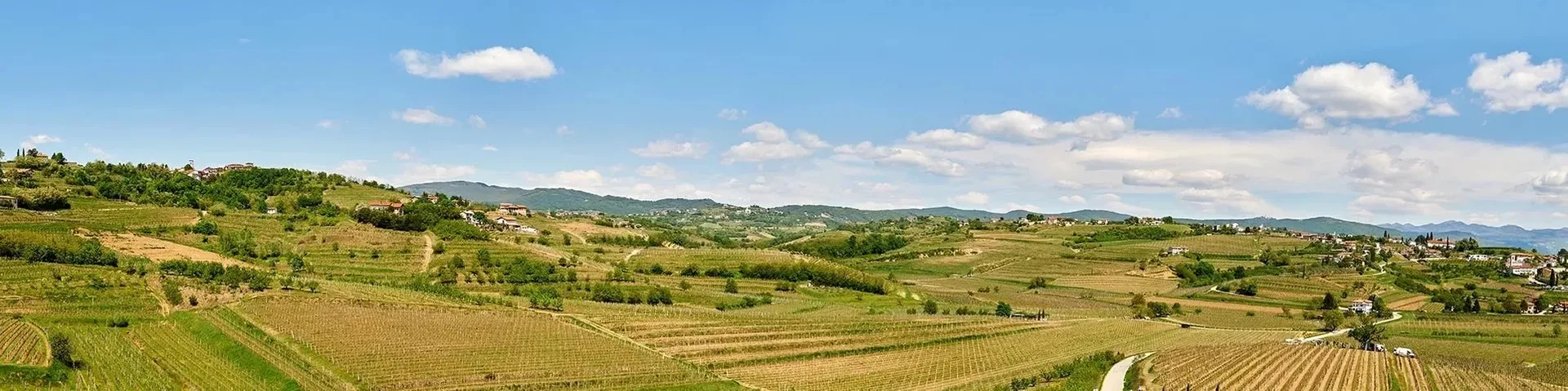 Restavracija Viatoria – Gredič — atmosphere