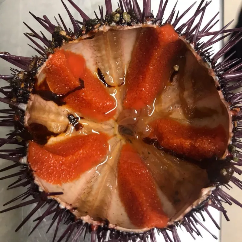 Trattoria del Pesce — food