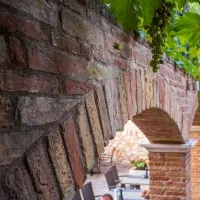 Cantinetta — photo 19