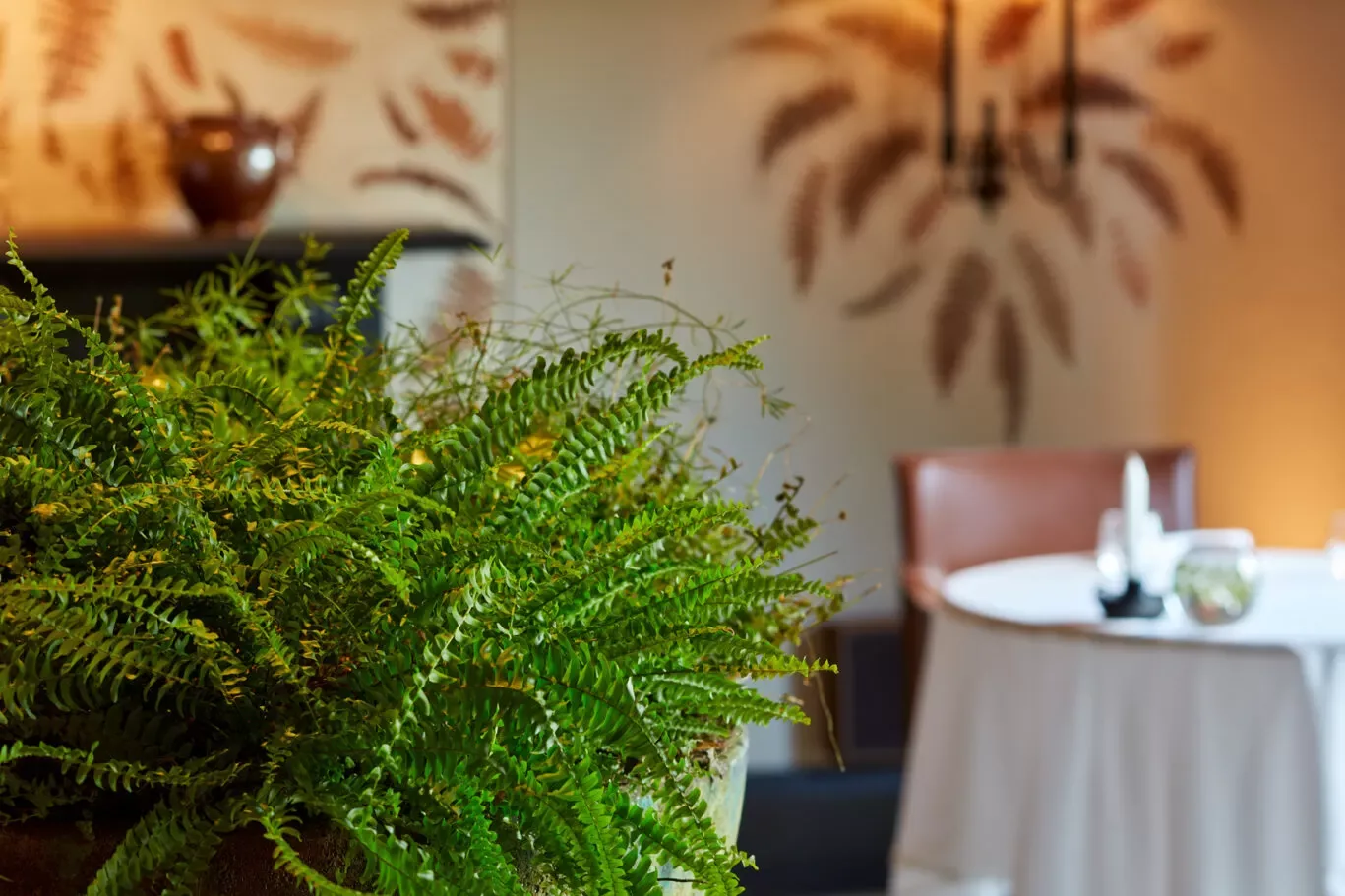 Fernery — photo 78