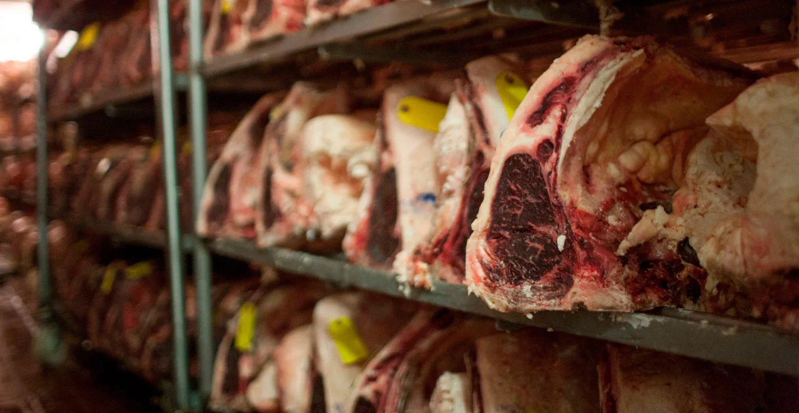 Peter Luger — photo 18