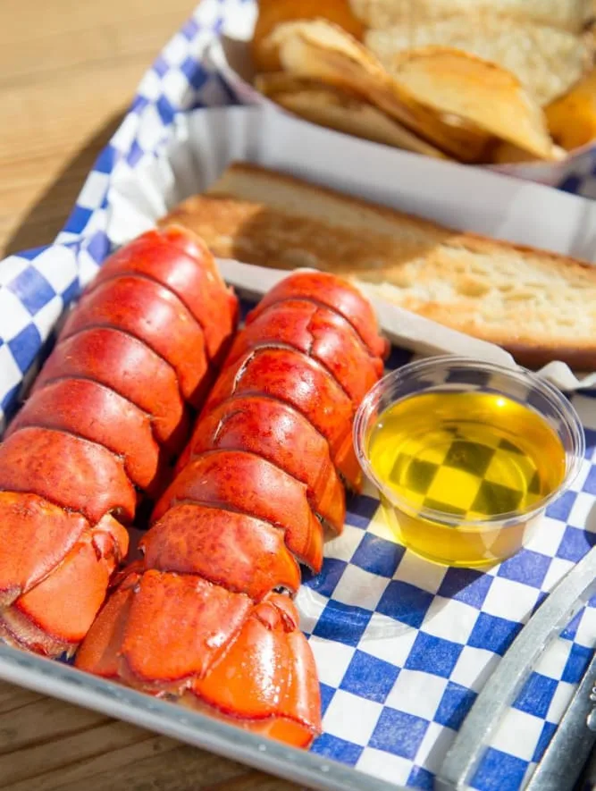 New England Lobster Eatery — photo 27