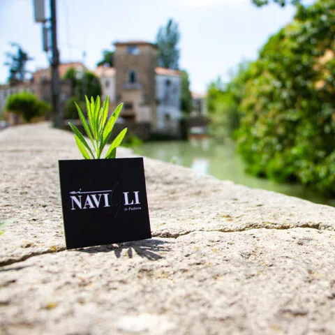 Ai Navigli — photo 10