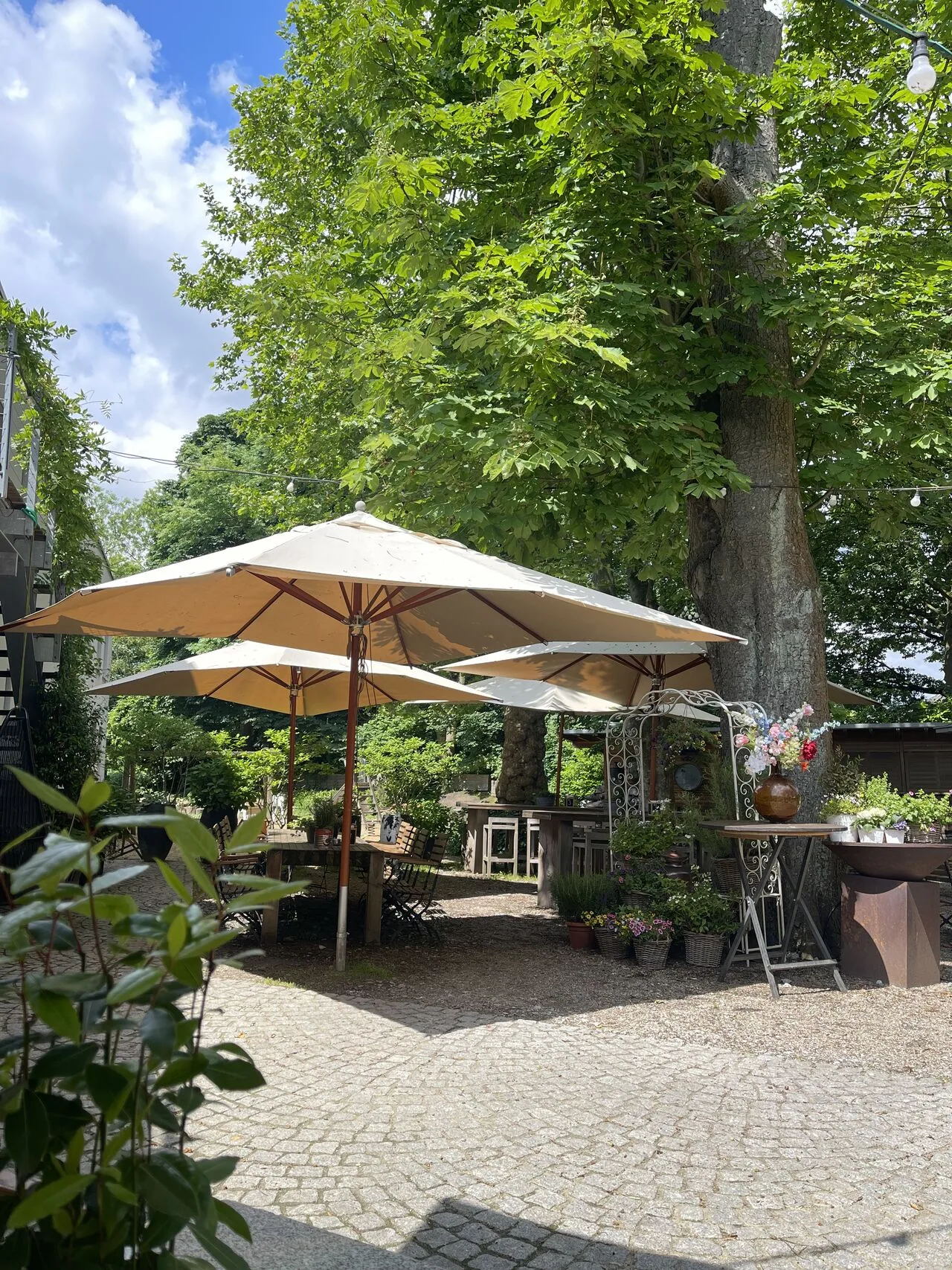 Landhaus Freemann — photo 46