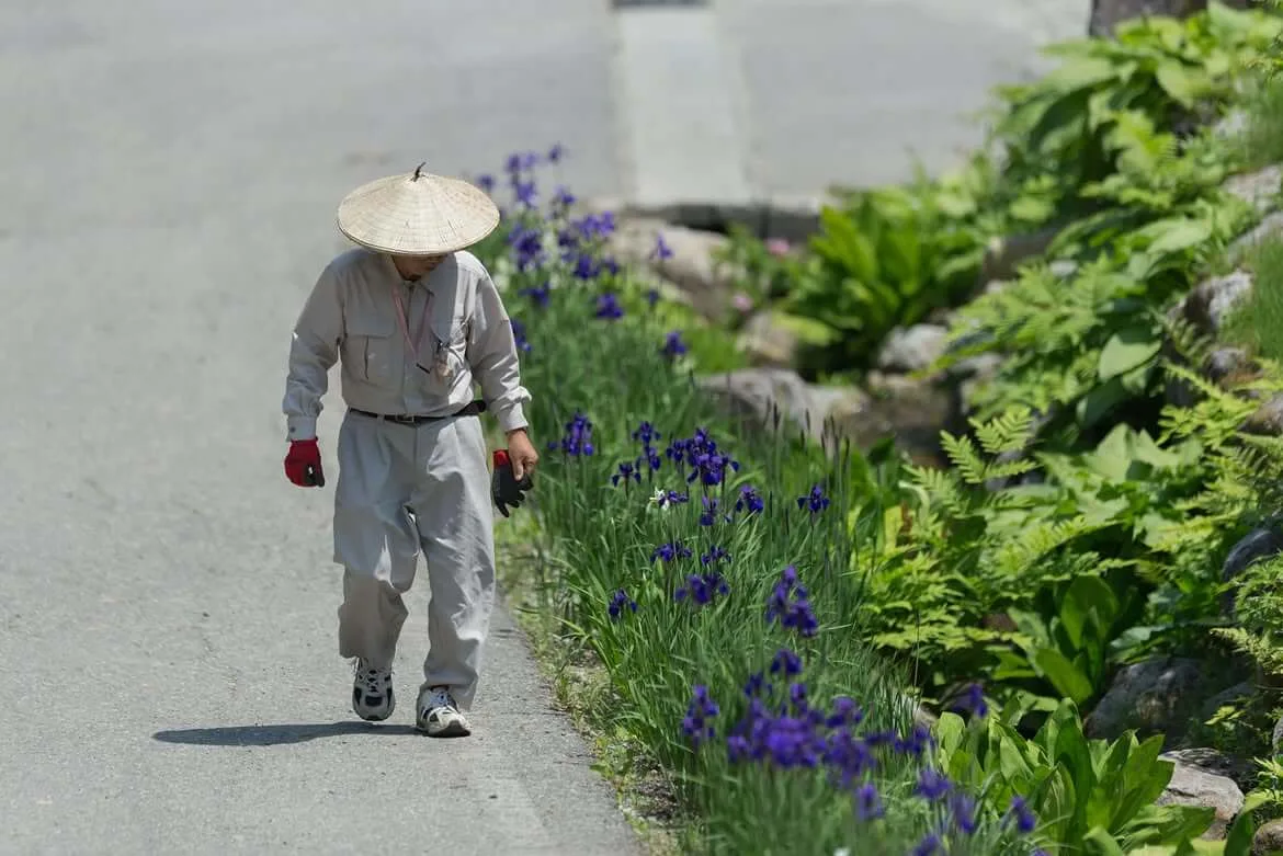 SATOYAMA JUJO - SANABURI - — photo 19