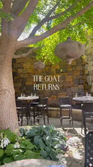 The Lazy Goat — photo 22