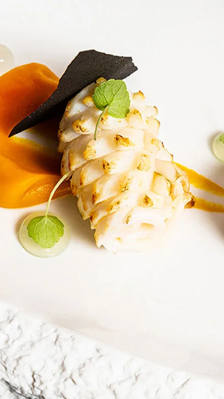 Tosca — food