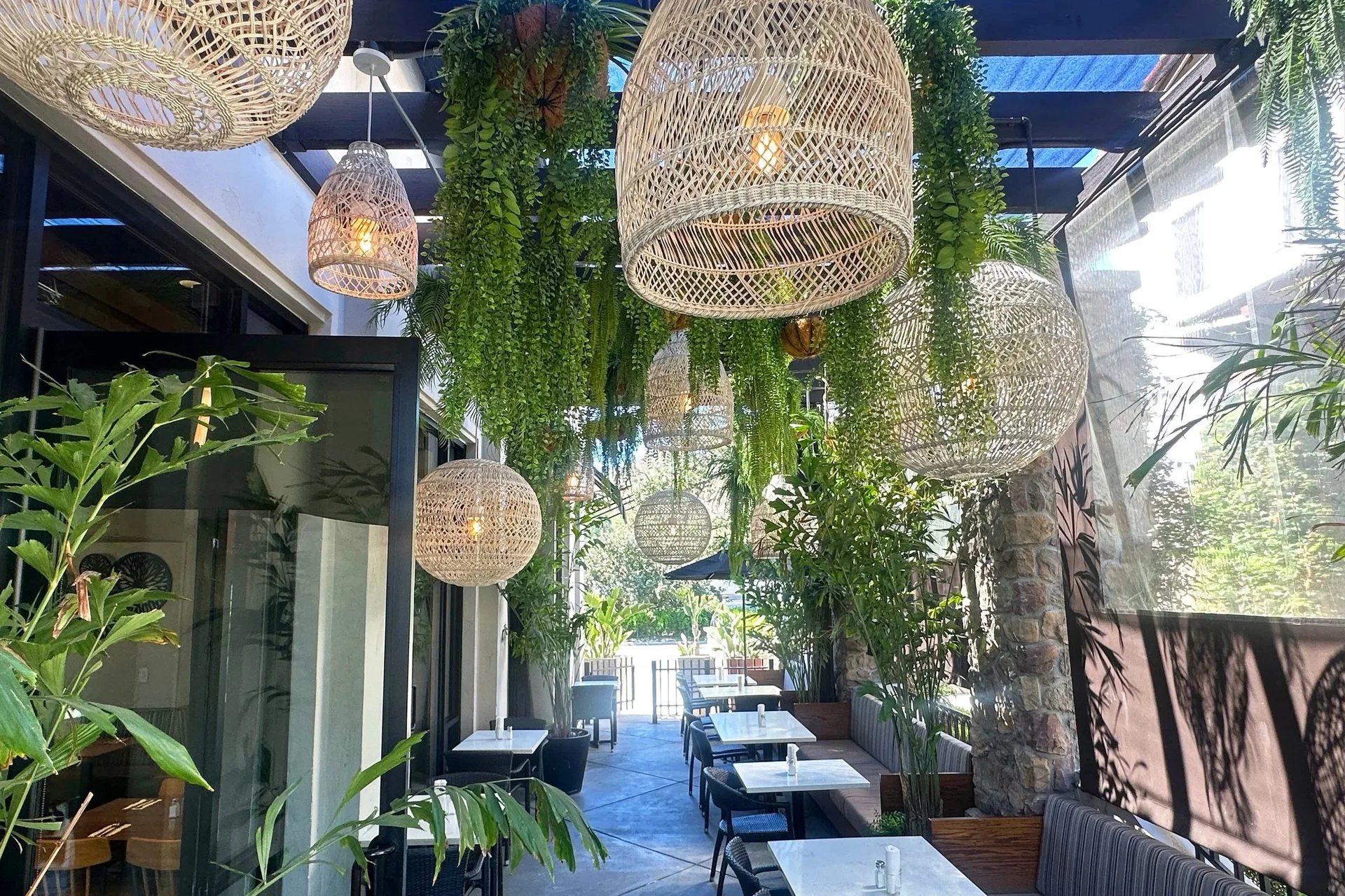 Los Agaves — photo 33