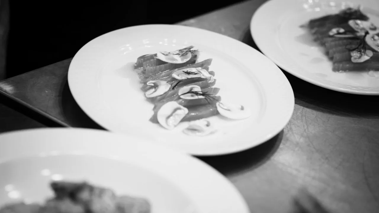 Selecto — photo 11