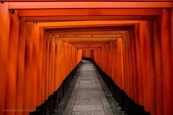Koedo — photo 4