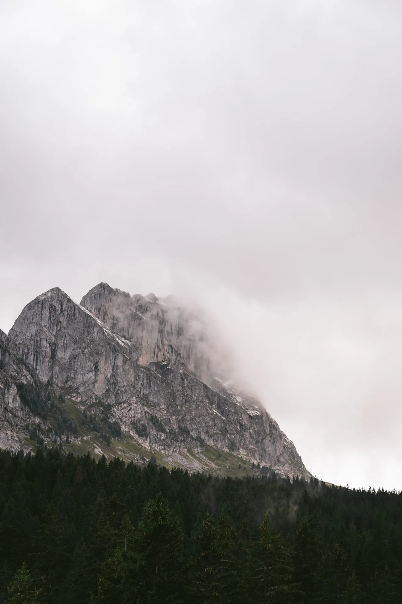 La Pinte des Mossettes — photo 21