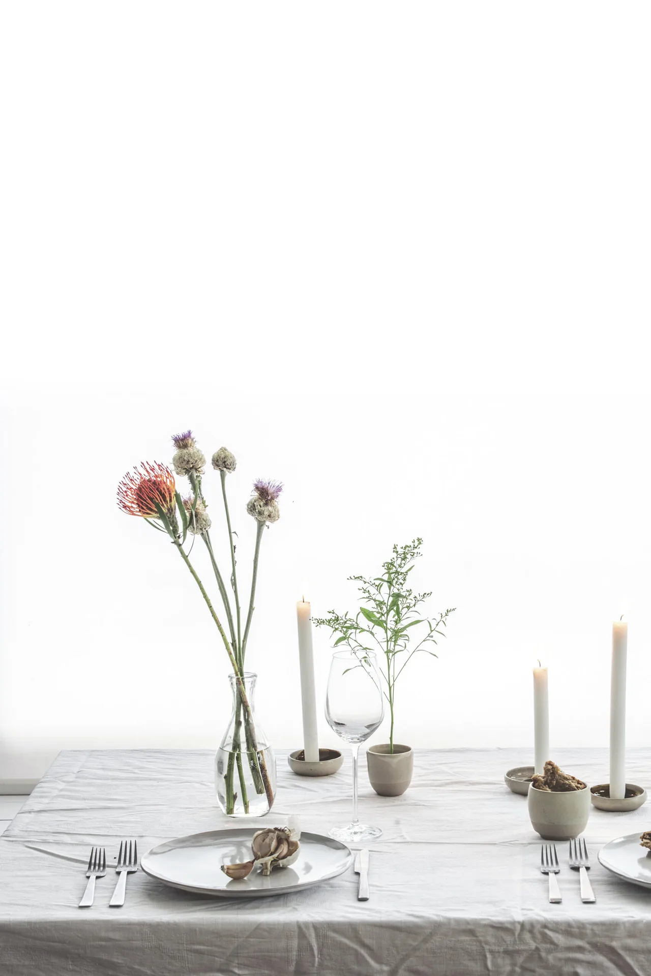 Humus x Hortense — photo 4