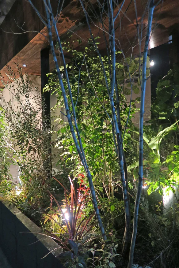 SOLATIO — photo 5