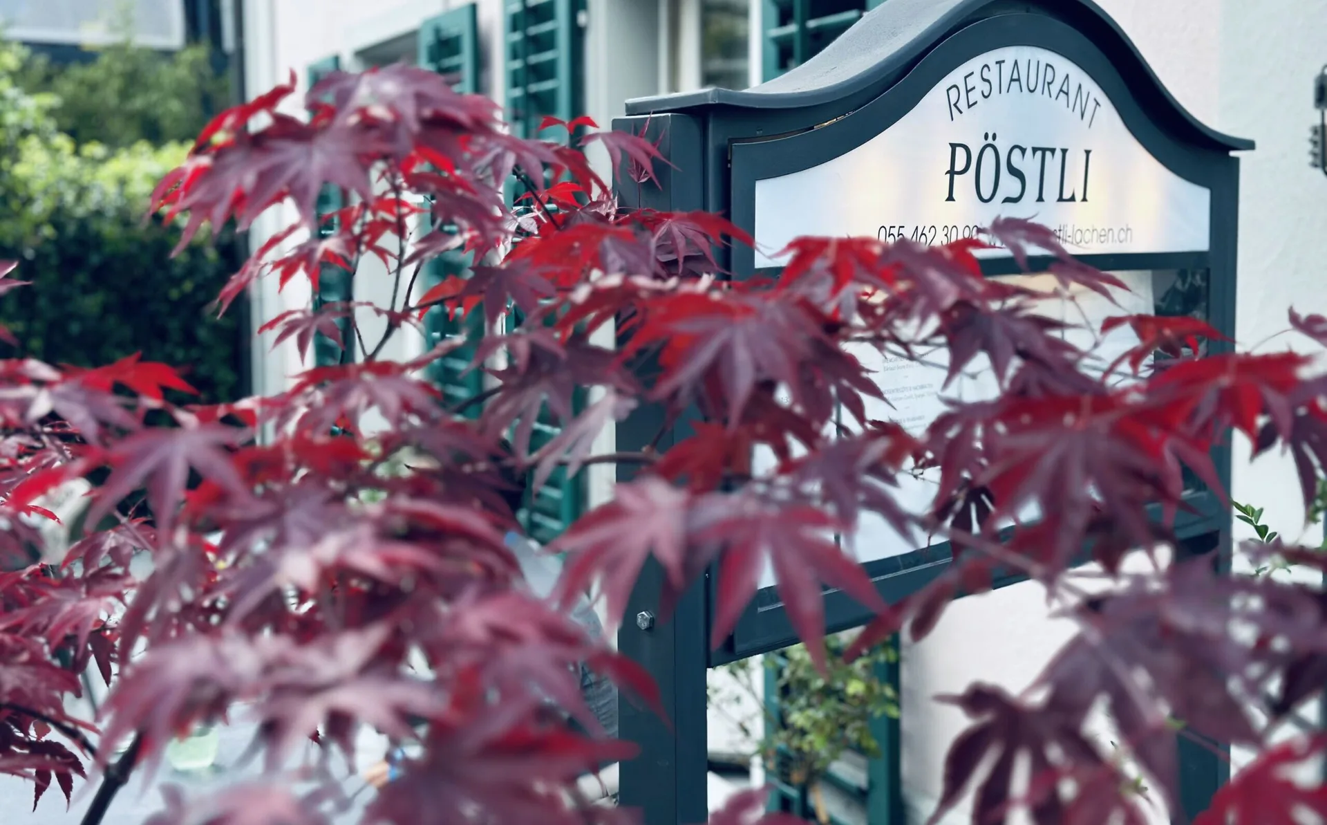 Pöstli Lachen — photo 14