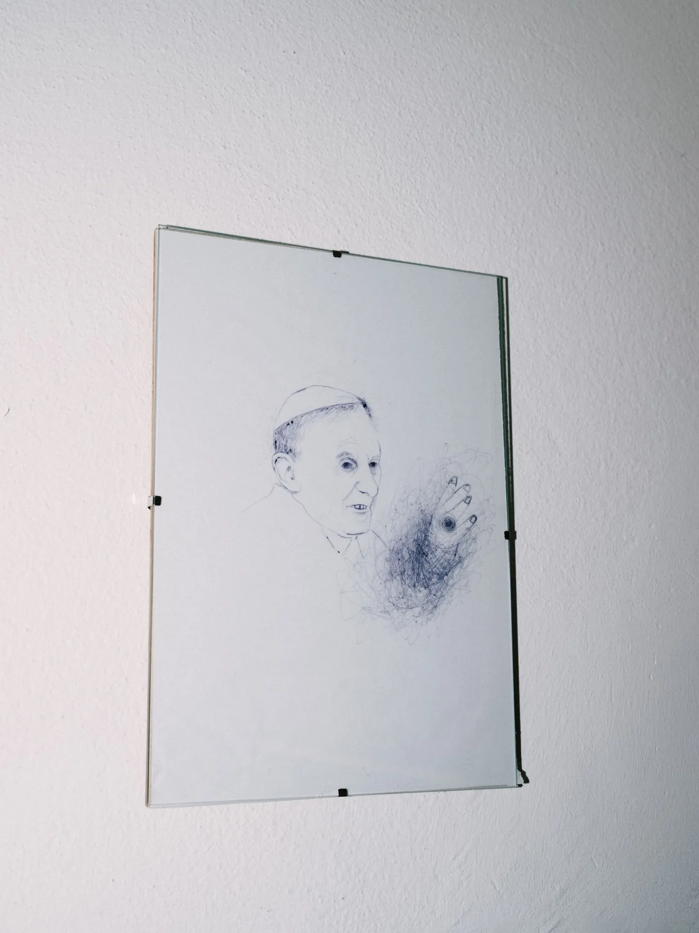 Blaue Gans — photo 65