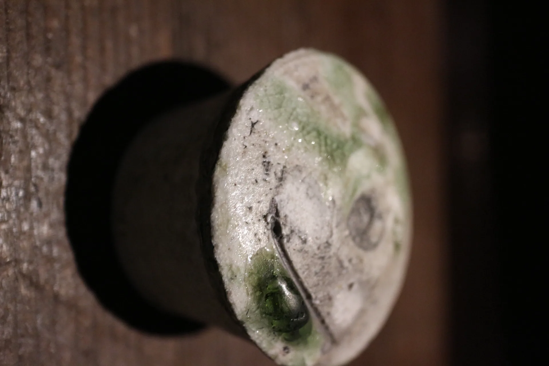KAMINOZA — photo 11