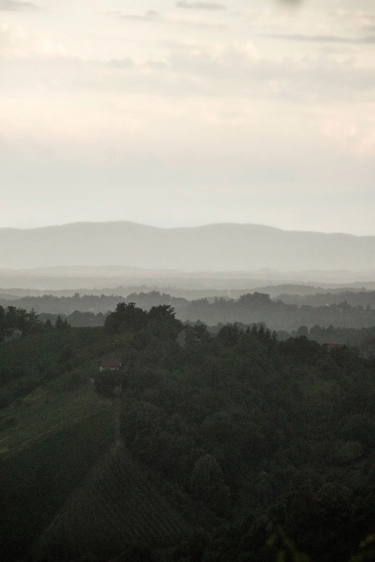 Korak — photo 23