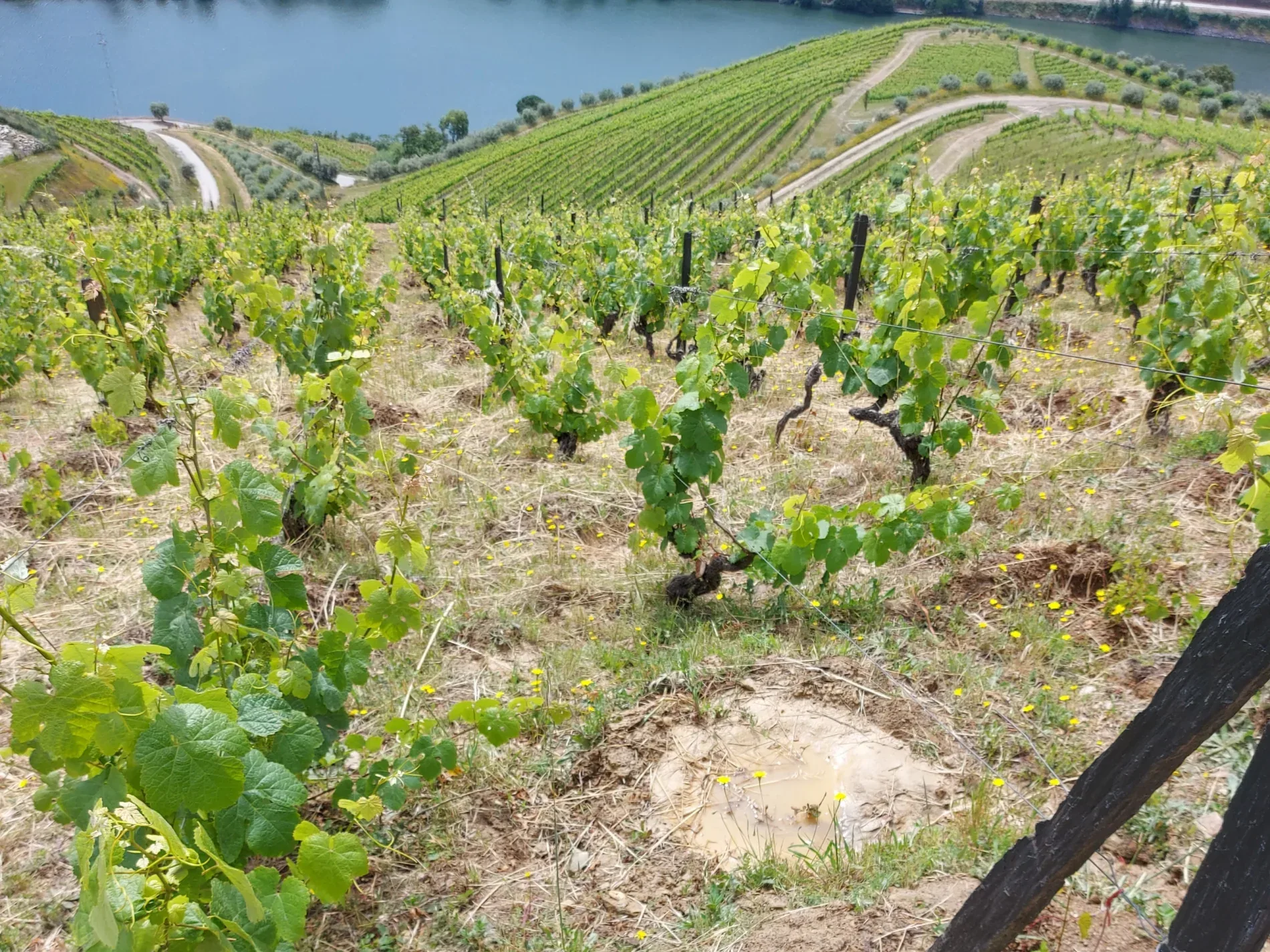 64 Wine — photo 39