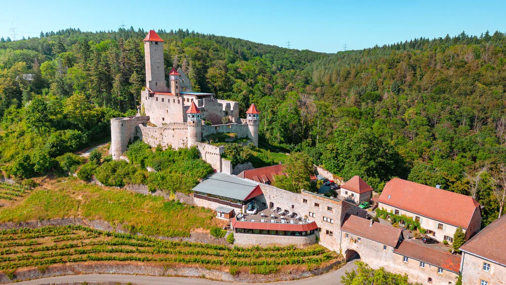 Restaurant Burg Hornberg — photo 77