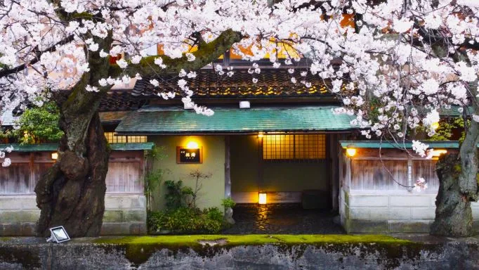 Ryotei Honami — photo 9
