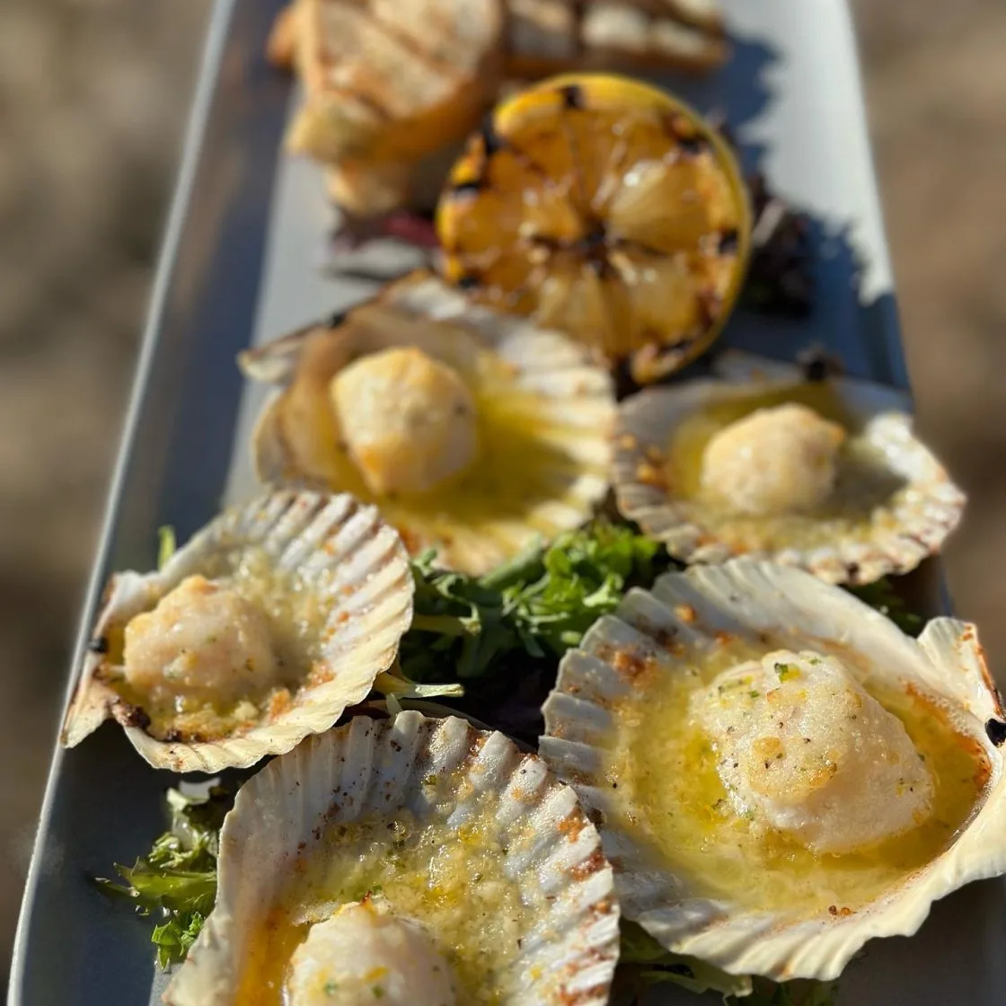 Matunuck Oyster Bar — photo 59