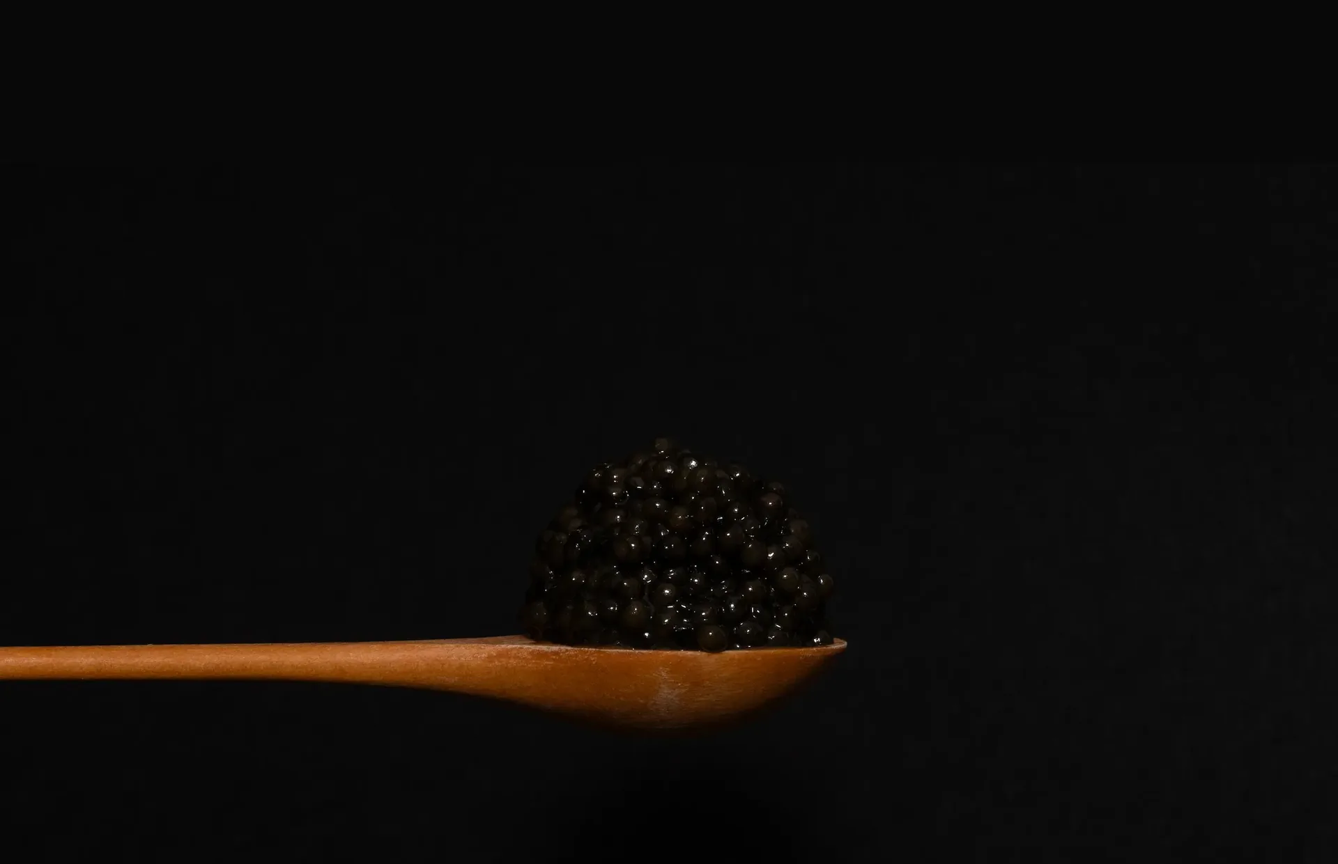 Pizarro Fine Dining — photo 6