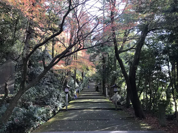 WATAYA — photo 94