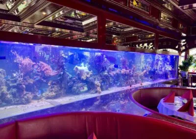 China-Restaurant Tang — photo 15