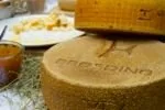 Broeding — photo 130