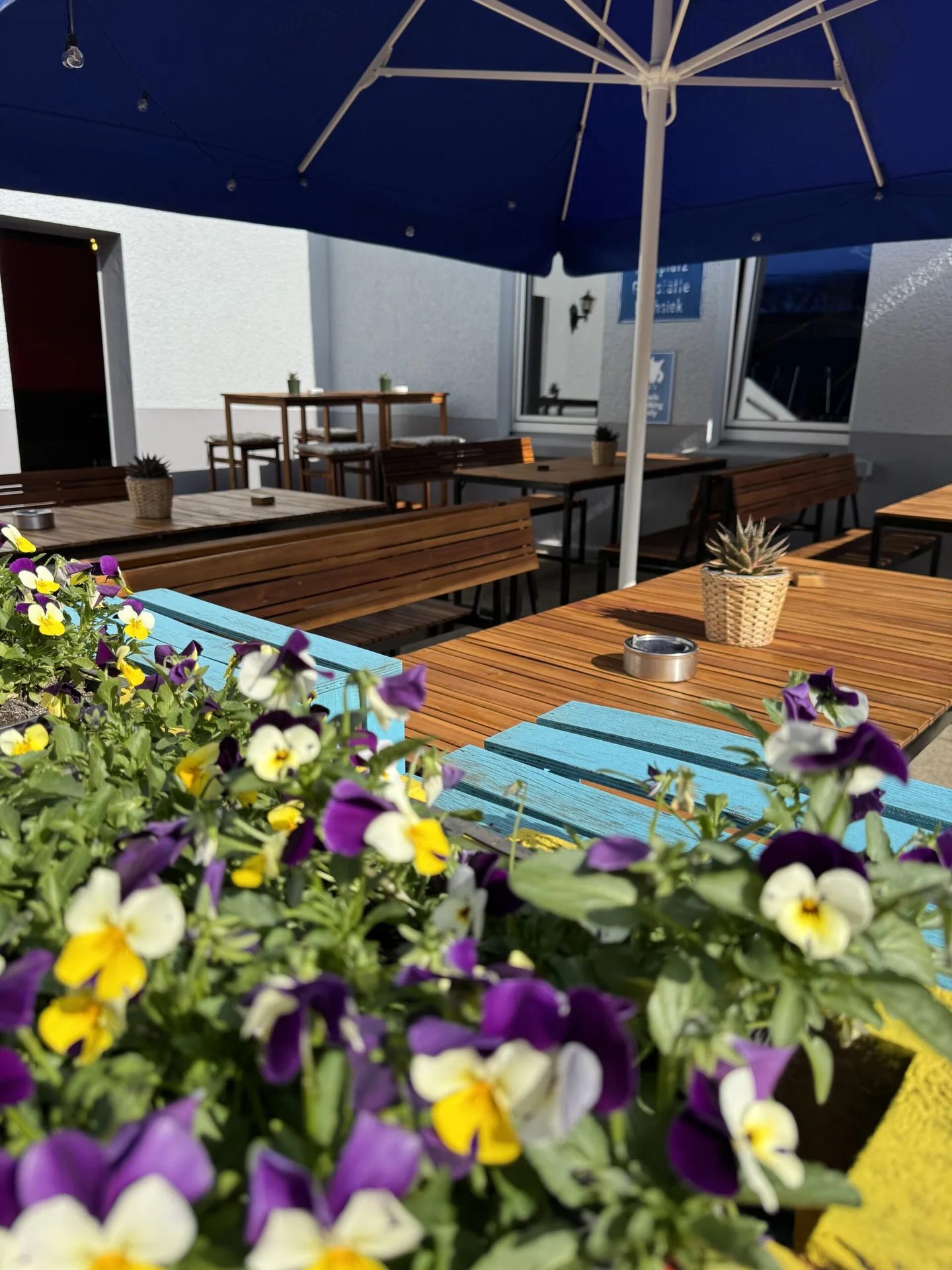 OWLs Bar &amp; Restaurant — photo 45