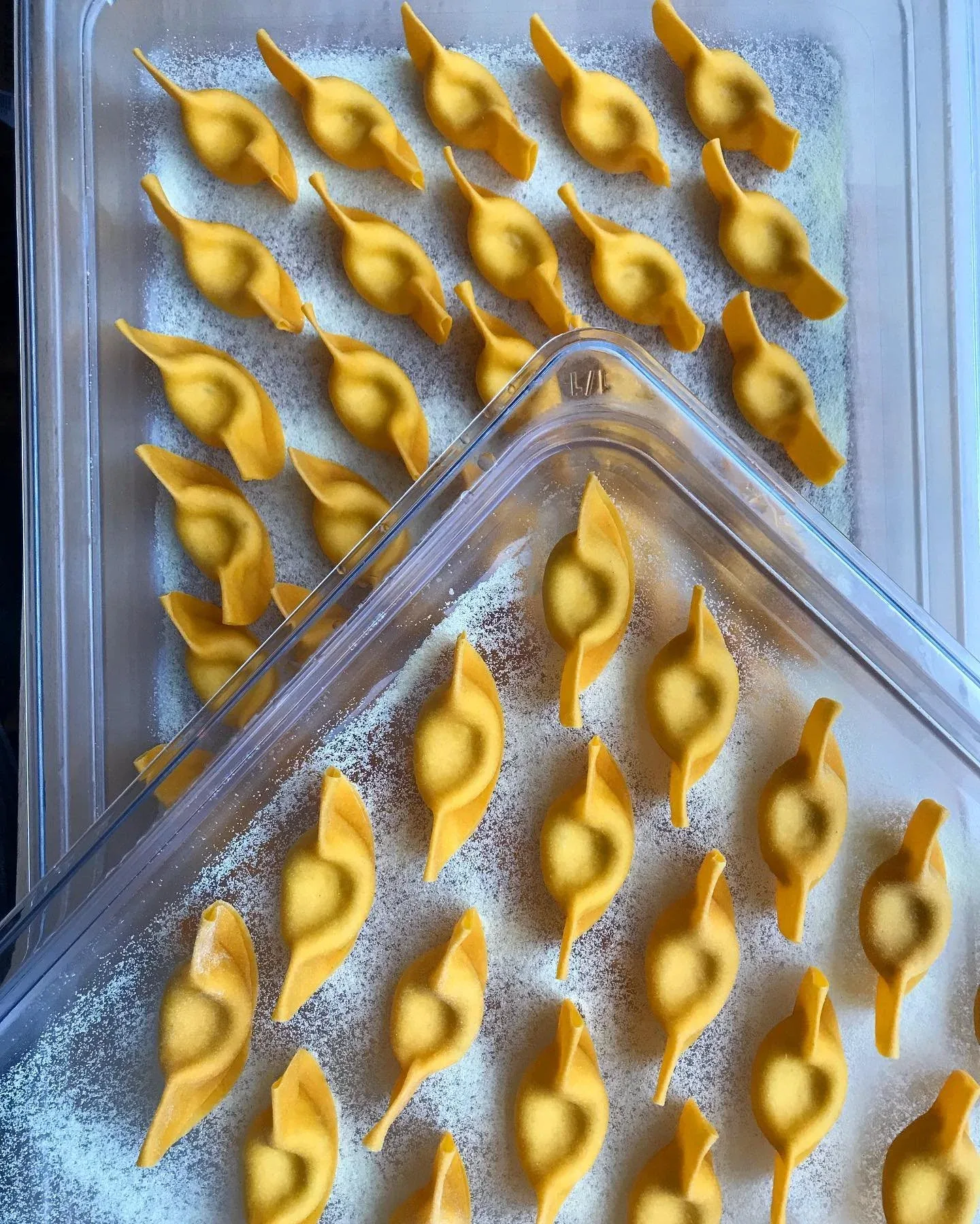 Little Hollows Pasta — photo 22
