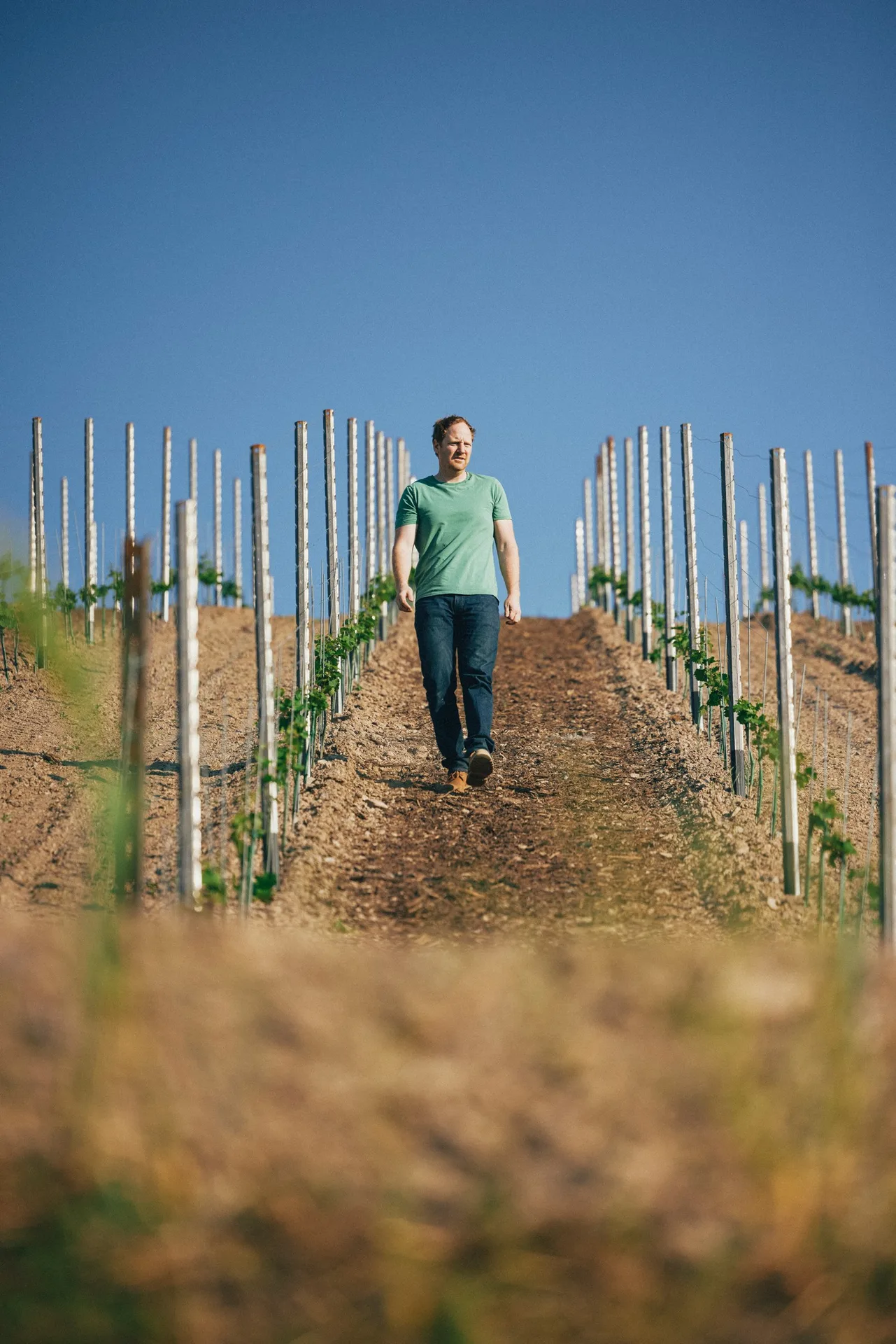 Weinstube Kruger-Rumpf — photo 7