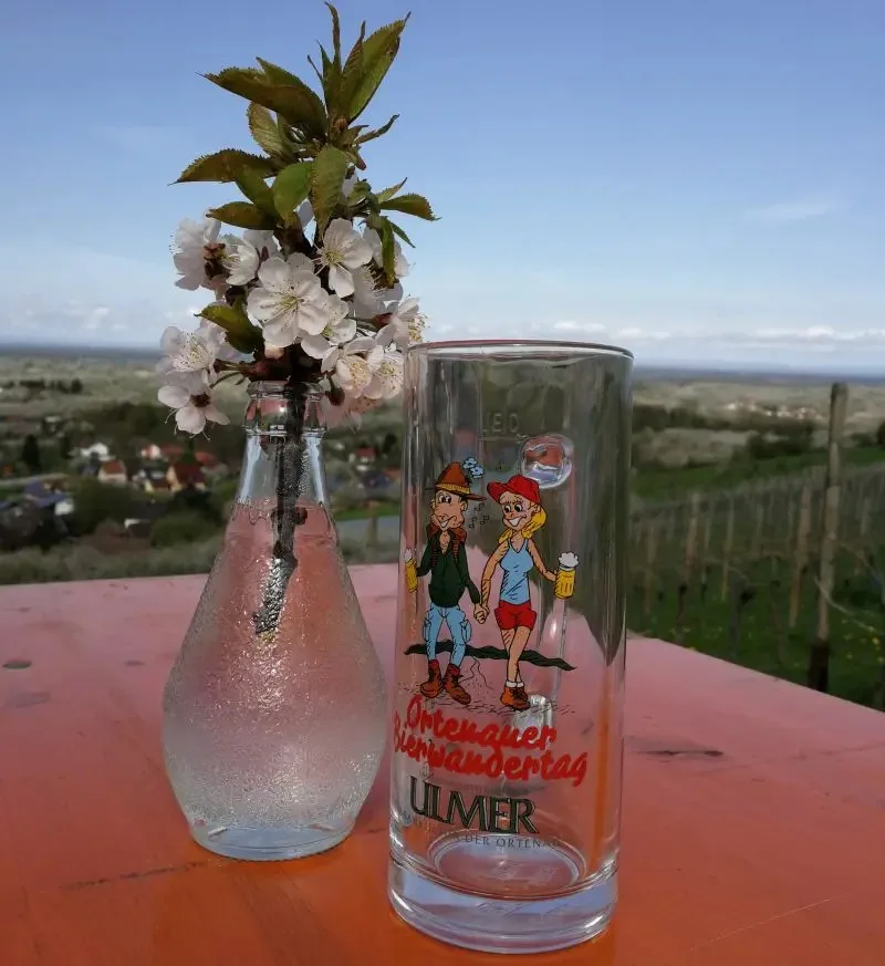 Restaurant Sonnenhof — photo 17