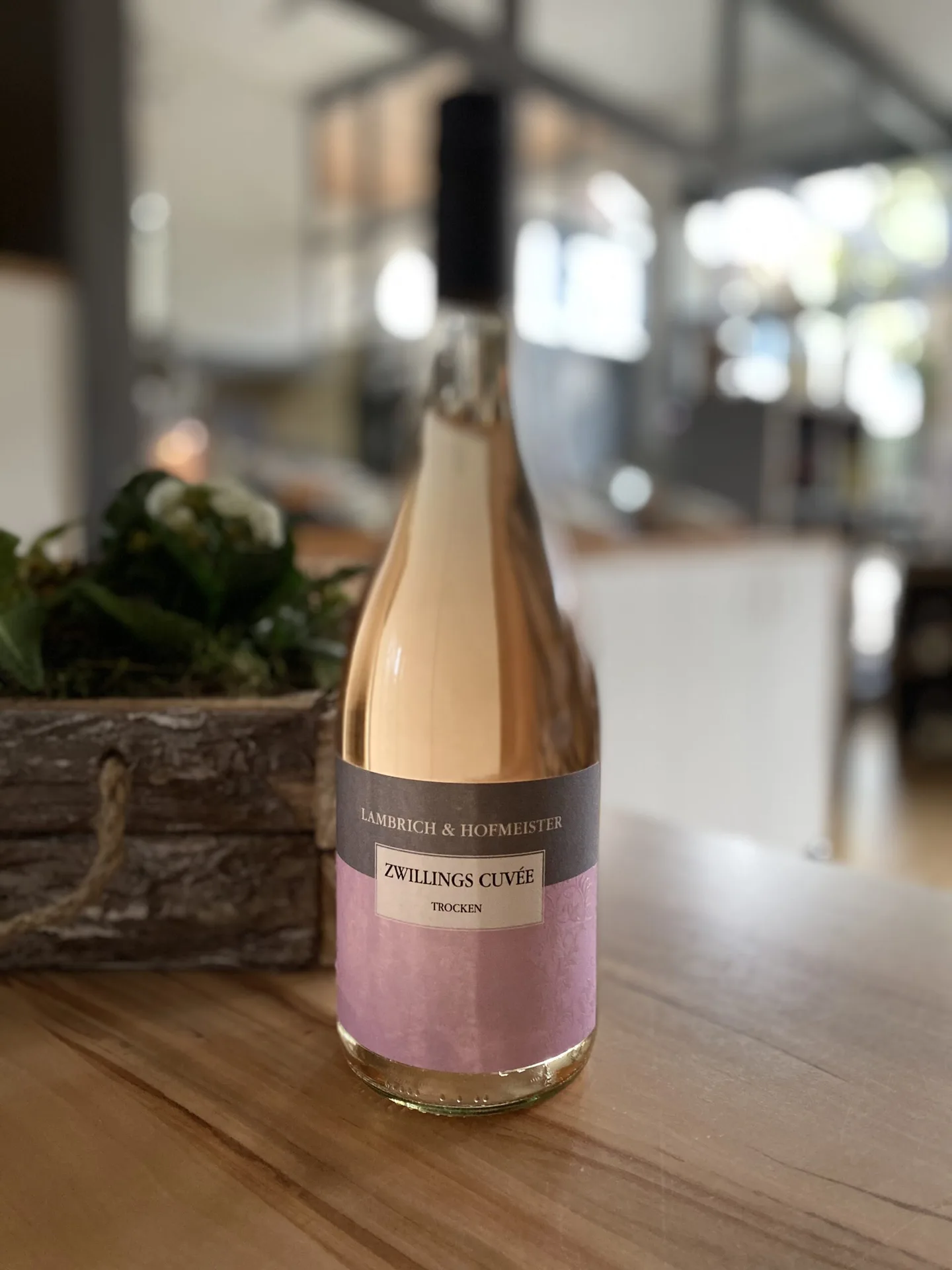 Weinstube Moiakäfer — photo 21