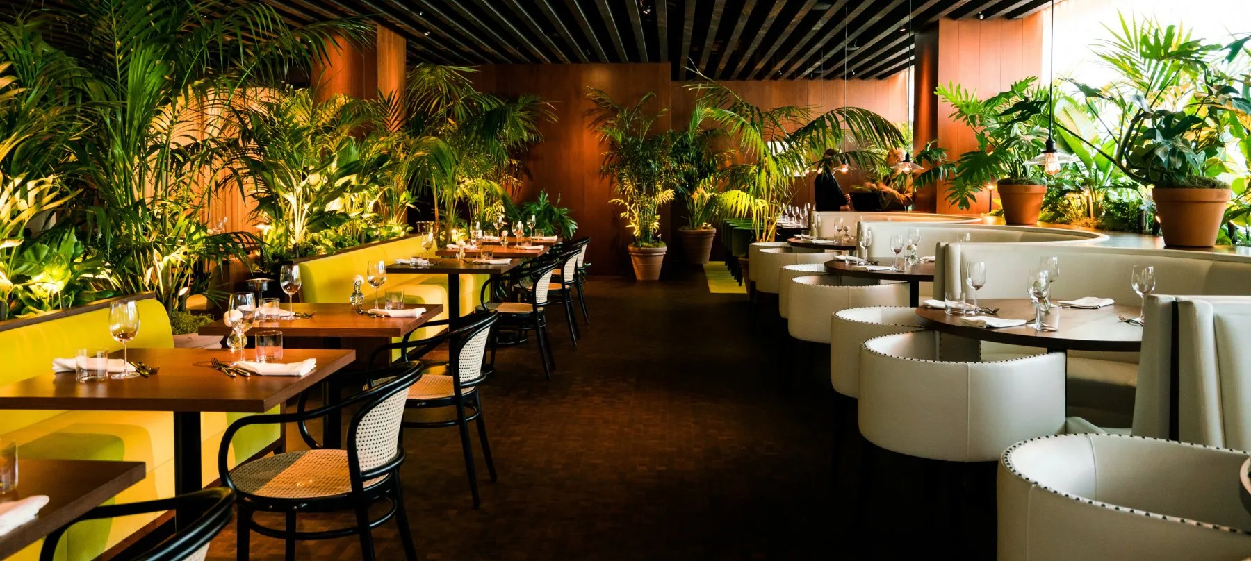 Ardor, Beverly Hills