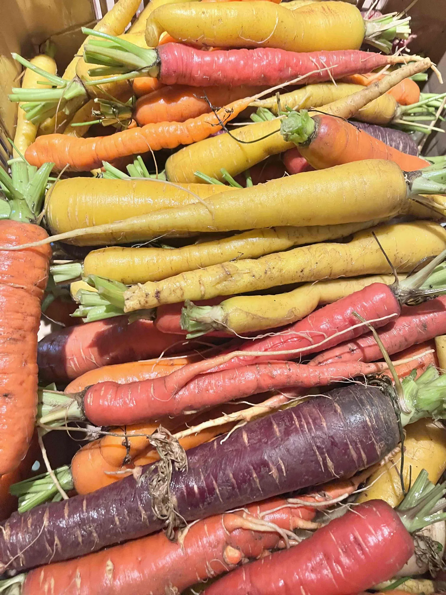 Le Canut et les Gones — food